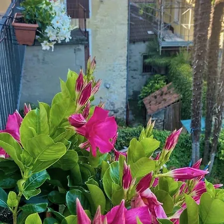 Casa Doris דירה *