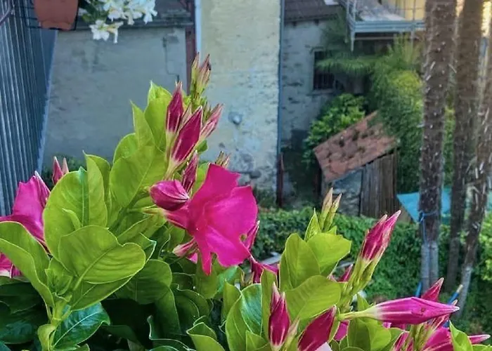 Casa Doris 아파트 *