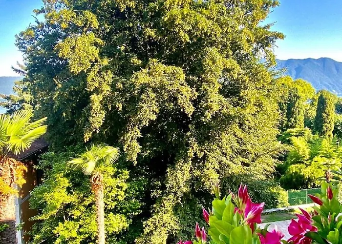 Apartment Casa Doris *